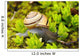 Snail On Moss Wall Mural
