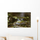 Northern Green Frog Peeking Out Of Water Wall Mural