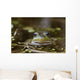 Northern Green Frog Peeking Out Of Water Wall Mural