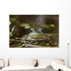 Northern Green Frog Peeking Out Of Water Wall Mural