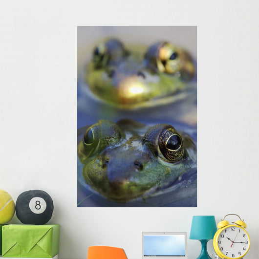 Northern Green Frogs Mating In A Pond Wall Mural