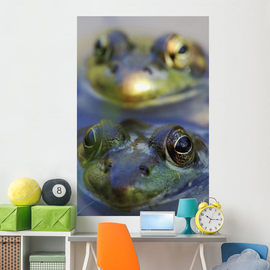 Northern Green Frogs Mating In A Pond Wall Mural