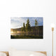 Boy Runs Through Trees At Sunset Wall Mural