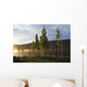 Boy Runs Through Trees At Sunset Wall Mural