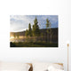 Boy Runs Through Trees At Sunset Wall Mural