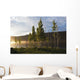 Boy Runs Through Trees At Sunset Wall Mural