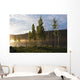 Boy Runs Through Trees At Sunset Wall Mural