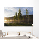 Boy Runs Through Trees At Sunset Wall Mural