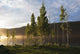 Boy Runs Through Trees At Sunset Wall Mural