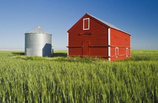 Metal Grain Bin And Wooden Grain Bin In Wheat Field Wall Mural