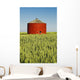 Red Grain Bin In Wheat Field Wall Mural