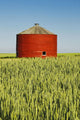 Red Grain Bin In Wheat Field Wall Mural