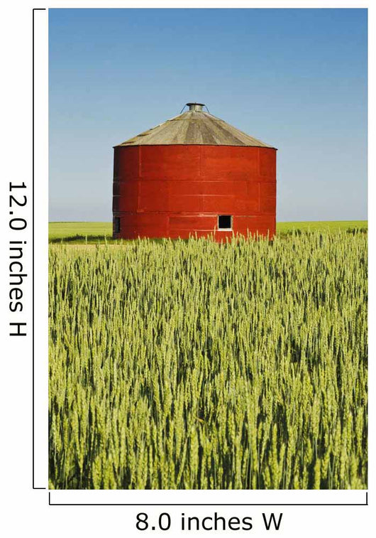 Red Grain Bin In Wheat Field Wall Mural