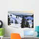 Cross-Country Skier Descends The Slope Below Mount Steel Wall Mural