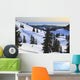 Cross-Country Skier Descends The Slope Below Mount Steel Wall Mural
