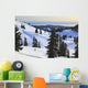 Cross-Country Skier Descends The Slope Below Mount Steel Wall Mural