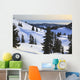 Cross-Country Skier Descends The Slope Below Mount Steel Wall Mural