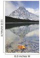 Lower Waterfowl Lake Wall Mural