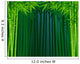 Bamboo Forest