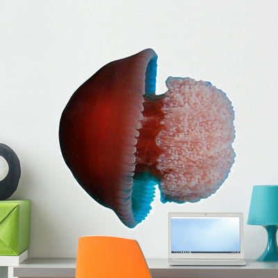 Live Red Blue Jellyfish Wall Decal shown on a wall