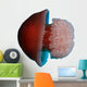Live Red Blue Jellyfish Wall Decal
