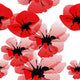 Floral Seamless Pattern with Wall Decal