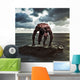 A muscular man Wall Mural