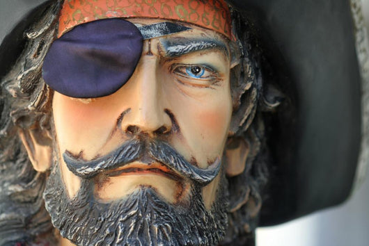 portrait of a pirate Wall Mural