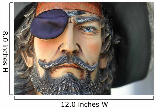portrait of a pirate Wall Mural