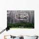 Stone Mountain near Atlanta Wall Decal