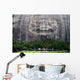 Stone Mountain near Atlanta Wall Decal