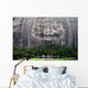 Stone Mountain near Atlanta Wall Decal