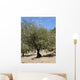 Sud Wall Decal