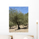 Sud Wall Decal
