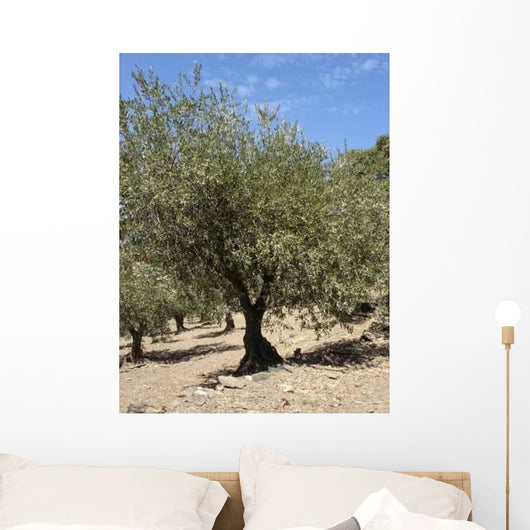 Sud Wall Decal