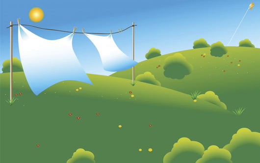 Drying Sheets