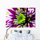 Up Purple Aster