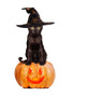 Photo-real Halloween Witches Cat Wall Decal