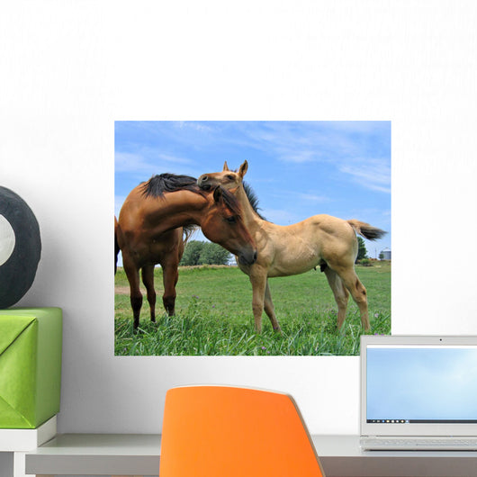 Two Horses Wall Decal Design 2