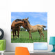 Two Horses Wall Decal Design 2