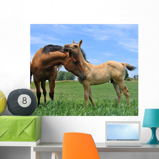 Two Horses Wall Decal Design 2