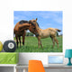 Two Horses Wall Decal Design 2