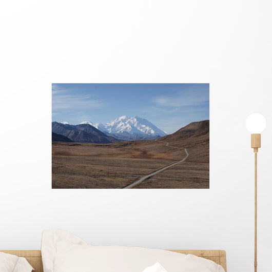 Mt McKinley in Denali National Park Alaska USA Wall Mural