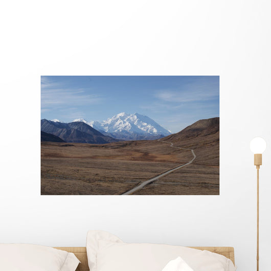 Mt McKinley in Denali National Park Alaska USA Wall Mural