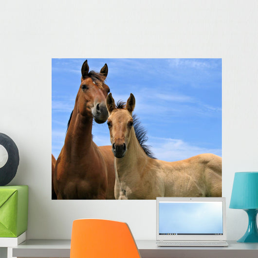 Two Horses Wall Decal Design 1