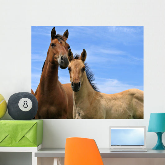 Two Horses Wall Decal Design 1