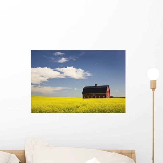 Red Barn Wall Mural