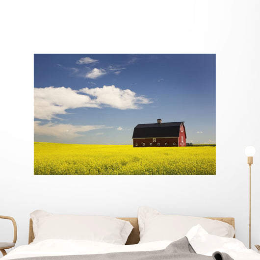 Red Barn Wall Mural