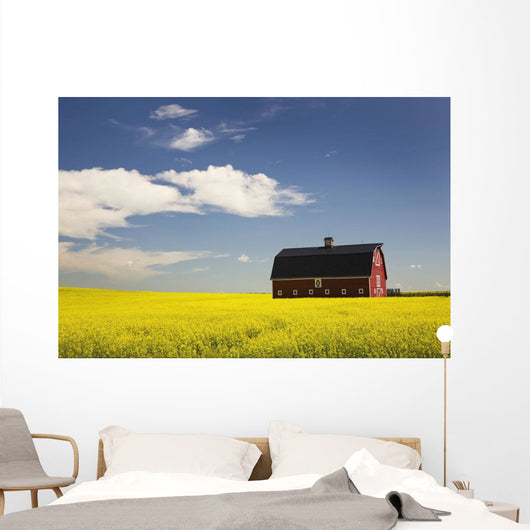 Red Barn Wall Mural