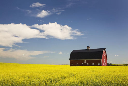 Red Barn Wall Mural